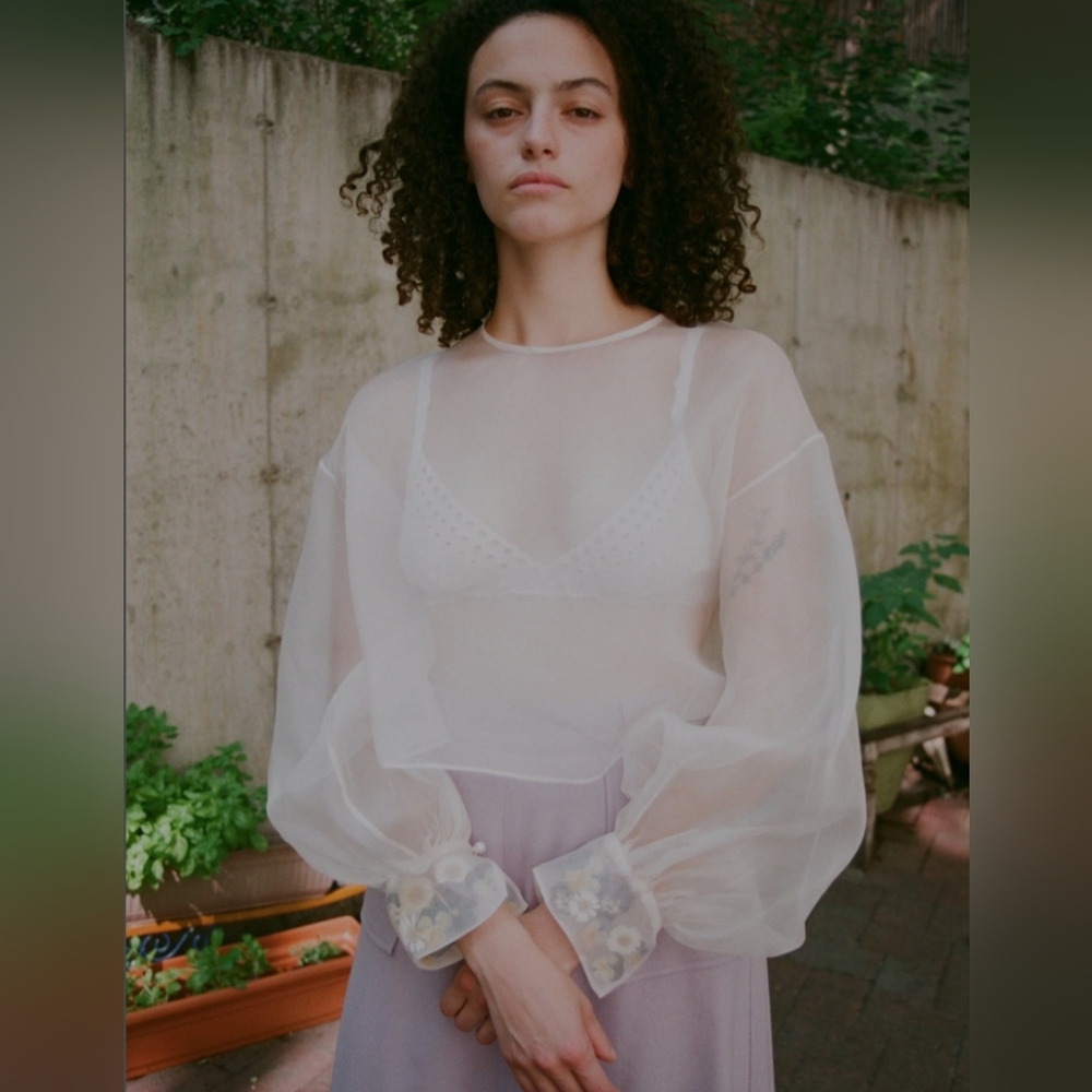 Dauphinette Claude Sheer Pink Organza Blouse